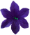 К232